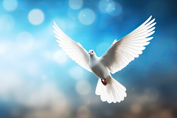 White dove flying as a symbol of peace and freedom.