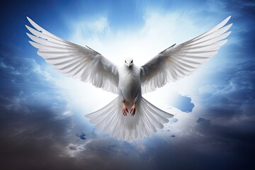 Obraz premium White dove flying as a symbol of peace and freedom.