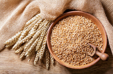 Wheat ears and grains on wooden background, top view