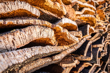 Stack of cork oak barks, Portugal - 684311478