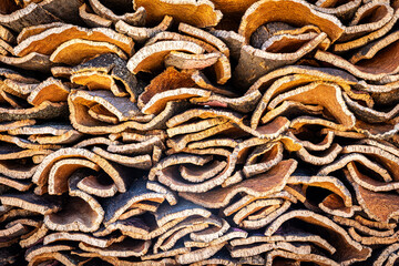 Stack of cork oak barks, Portugal - 684311664