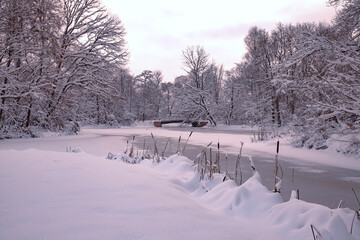 Paysage d'hiver
