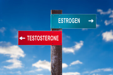 Estrogen versus Testosterone - Road sign with two options.