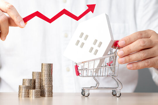 Businessman hand hold the arrow graph with growing value and a shopping cart and home and stack coin with growing interest in the office, Loan for real estate or saving money for buy a house concept.
