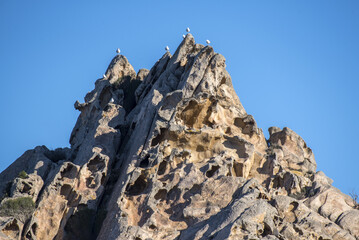 Gabbiani sulle rocce
