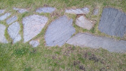 A path of irregularly shaped stones on the lawn in summer