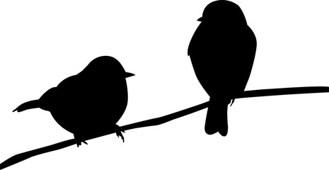 two beautiful silhouette birds vector