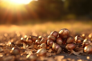 A pile of nuts sitting on the ground. This image can be used to illustrate concepts such as food, snacks, nature, and abundance. - obrazy, fototapety, plakaty