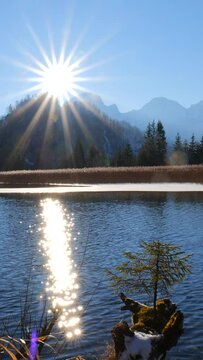 Litte Conifer Tree and Ripples on the Water Surface of a Blue Mountain Lake with Sun Star and Lens Flare