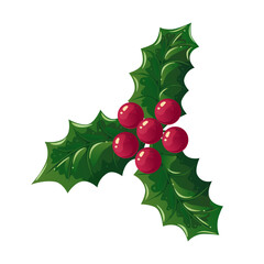 Holly berries branch of red Christmas berries with leaves. Vector illustration isolated on white background. Decorative detailed element for holiday patterns, wreathes, frames, packaging, design