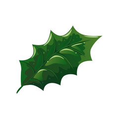 Naklejka premium Green Holly leaf vector illustration isolated on white background. Detailed decoration botanical element for holiday patterns, wreathes, frames, packaging, design. Bright tree fallen leaf foliage