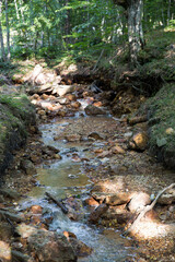 Creek, small river known as Žuti potok (yellow creek), because of its yellow colour and the high iron concentration in the water. The Devil's Town (Djavolja Varos), a natural phenomenon in Serbia.