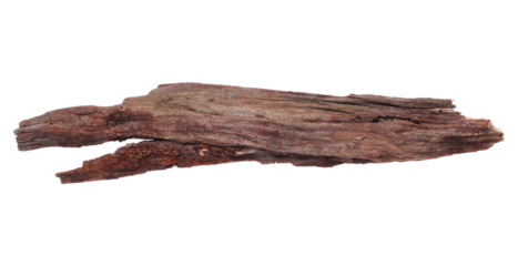 Old rotten branch isolated on white, clipping path