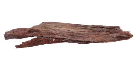 Rolgordijnen Old rotten branch isolated on white, clipping path © dule964