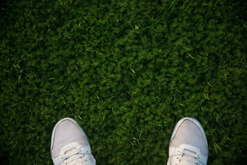 Socks of white sneakers stand on green grass