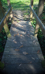 Wooden bridge over a stream strewn with autumn leaves - 684338056