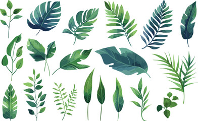 Fototapeta na wymiar leaf nature watercolor illustration modern decoration background summer design floral green vector plant tropical