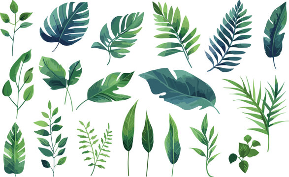 leaf nature watercolor illustration modern decoration background summer design floral green vector plant tropical