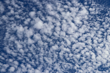 Vast puffy Altocumulus clouds in the sky