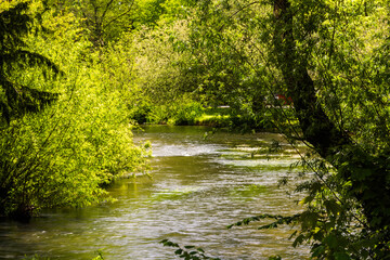 English river in the Summer, landscape