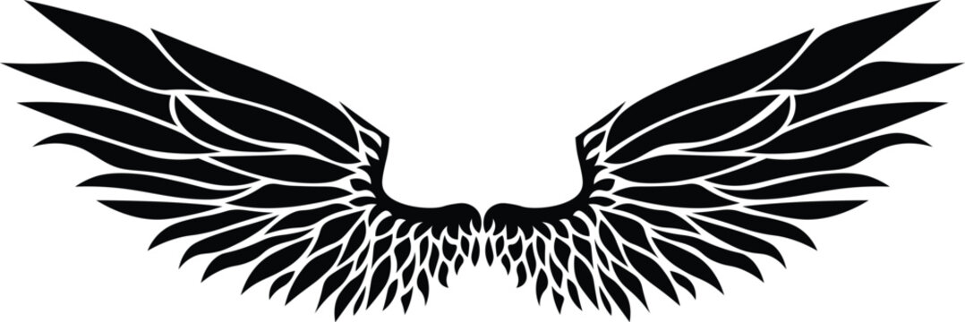 Cartoon Black and White Isolated Illustration Vector Of A Pair of Feathered Angel Wings