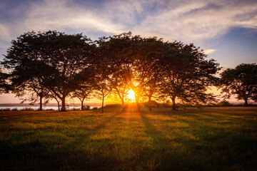 sunset in the forest