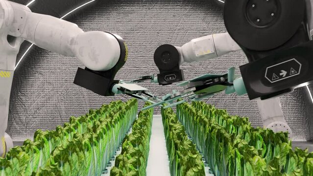 Modern plantation with robotic arms. Organic Farmhouse with process automation system. Modern technologies and artificial intelligence. Automated Smart Agriculture. 3D rendered animated graphics
