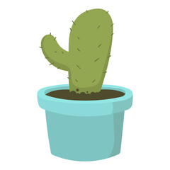 cactus in a pot