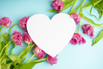 Fresh pink peony tulips on pastel blue background with space for text. Festive concept for Mother's Day or Valentines Day. Greeting card, flat lay, banner format.