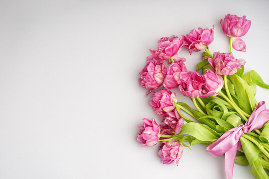 Bouquet of pink peony tulips tied with a pink bow. Spring flowers on the white background and place for text. Festive concept for Valentines Day or Mother's Day.