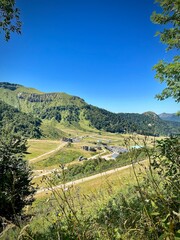 wild plants in front of a panorama of a mountain valley on a sunny summer day in the massif central in france
