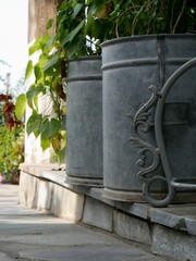 Fototapeta premium Blumentöpfe symmetrisch