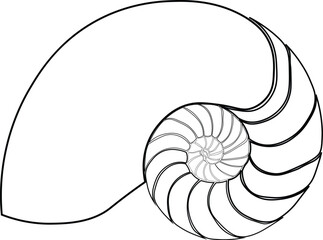 Cartoon Black and White Isolated Illustration Vector Of An Ammonite Mollusk Fossil Shell