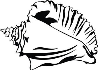 Cartoon Black and White Isolated Illustration Vector Of A Conch Shell