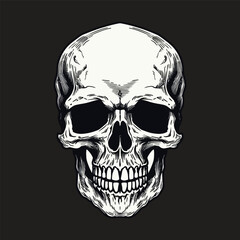 Vintage human skull vector on white background with hand drawn skull silhouette