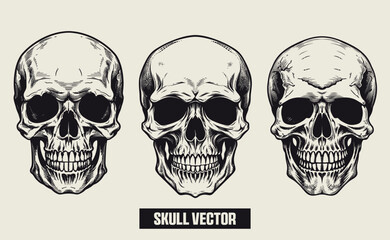 Bundle set human skull vector on white background with drawn skull silhouette