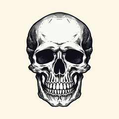 Vintage human skull vector on white background with hand drawn skull silhouette