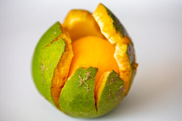 Typical ripe pequi fruit (caryocar brasiliense) in fine details and selective focus. Typical fruit from the Brazilian cerrado bioama.