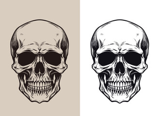 Bundle set human skull vector on white background with drawn skull silhouette