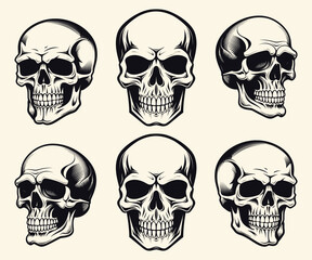 Bundle set human skull vector on white background with drawn skull silhouette
