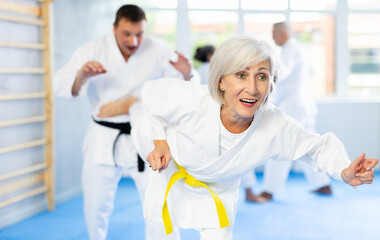 Fototapeta premium Intense oriental fight session, senior athletic practice combat karate techniques with male teacher, demonstrating agility and self-control in martial art single combat
