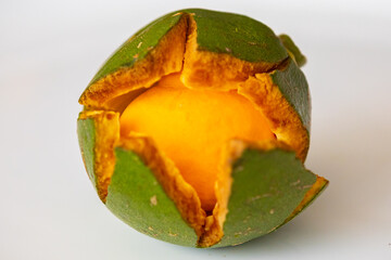 Typical ripe pequi fruit (caryocar brasiliense) in fine details and selective focus. Typical fruit from the Brazilian cerrado bioama.