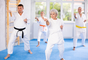 Group of elderly people in kimono trying new fighting techniques at karate lessons - obrazy, fototapety, plakaty