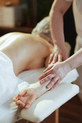 Obraz na płótnie Canvas Closeup on massage therapist in spa salon massaging clients arm