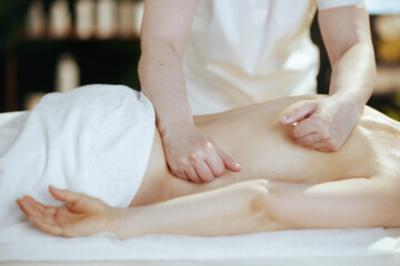 Obraz na płótnie Canvas Closeup on massage therapist in spa salon massaging client