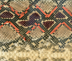 Snake skin leather textured reptile print. Pyton animal leather background.