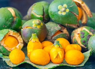 Typical ripe pequi fruit (caryocar brasiliense) in fine details and selective focus. Typical fruit from the Brazilian cerrado bioama.
