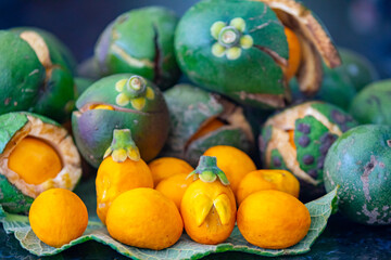 Obraz na płótnie Canvas Typical ripe pequi fruit (caryocar brasiliense) in fine details and selective focus. Typical fruit from the Brazilian cerrado bioama.