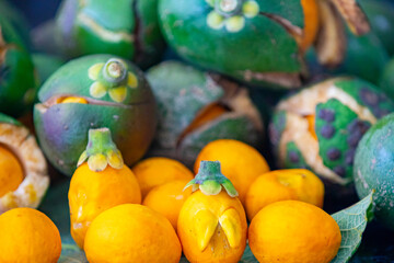 Typical ripe pequi fruit (caryocar brasiliense) in fine details and selective focus. Typical fruit from the Brazilian cerrado bioama.