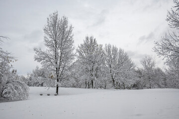 Winter Landscape of South Park in city of Sofia, Bulgaria